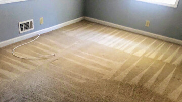 Carpet showing fresh extraction lines after cleaning