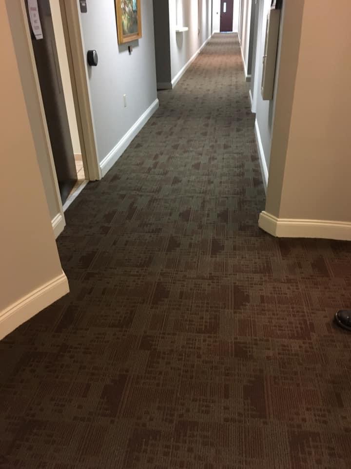 Cleaned carpet in a long residential hallway